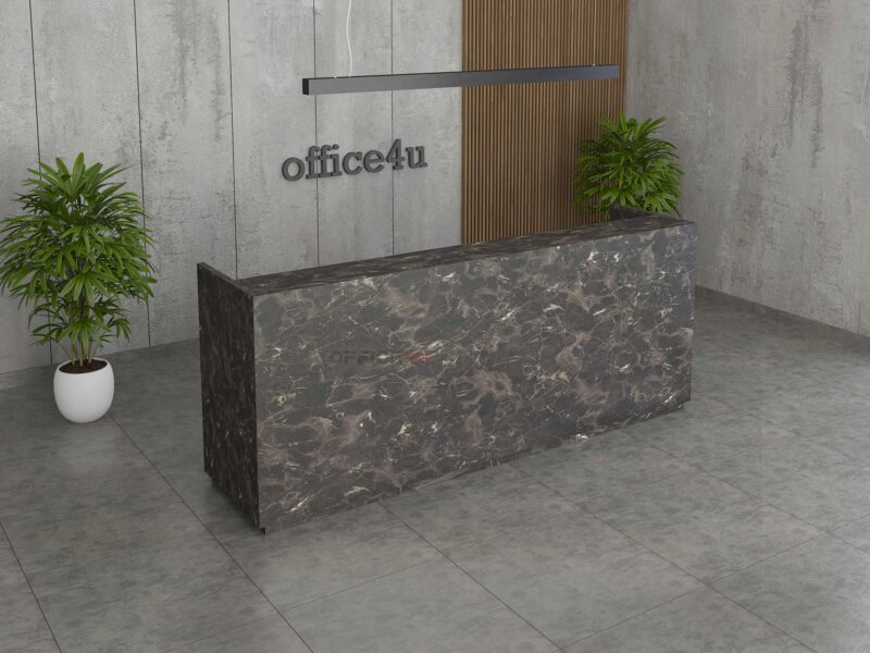 Camila Reception Desk