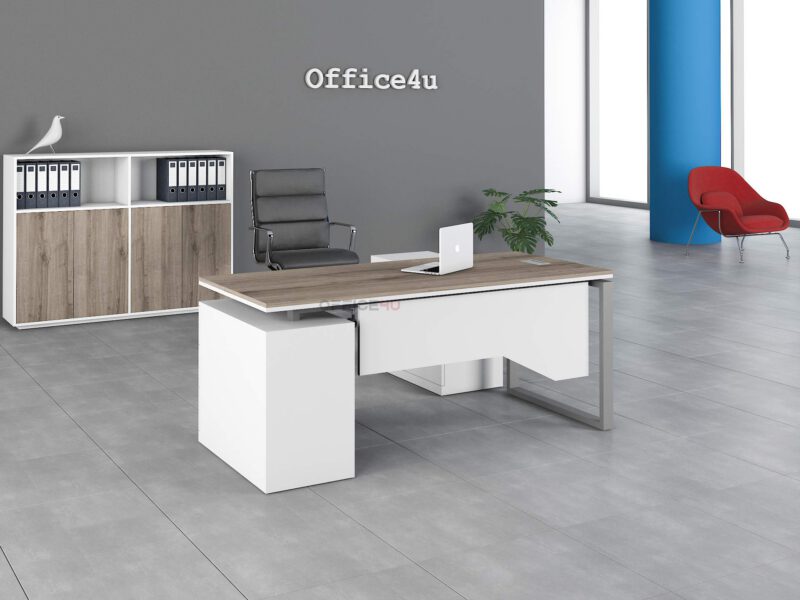 Trendo Executive Desk