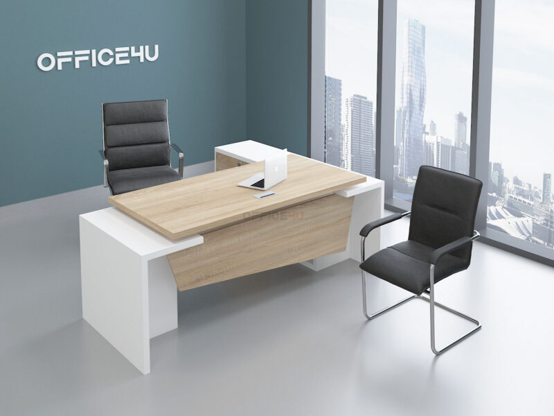 Leo Executive Desk
