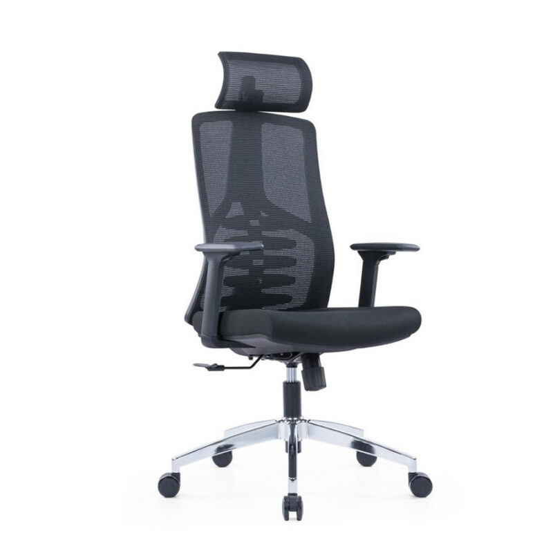 Chromix Ergonomic Chair: Adjustable Lumbar Support  &  2D Adjustable Armrest