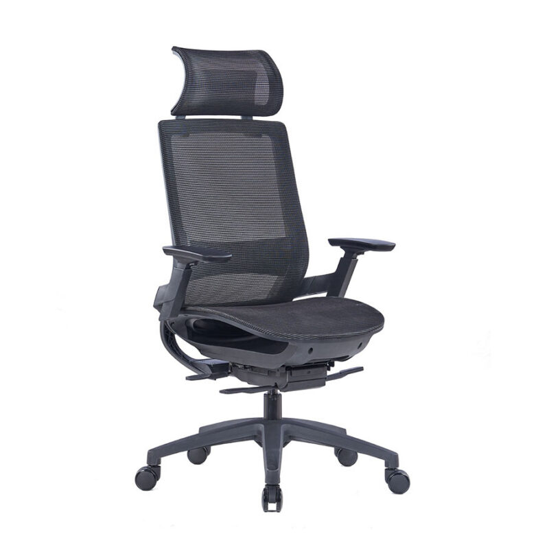 Eva High Back Ergonomic Chair with 3D armrest