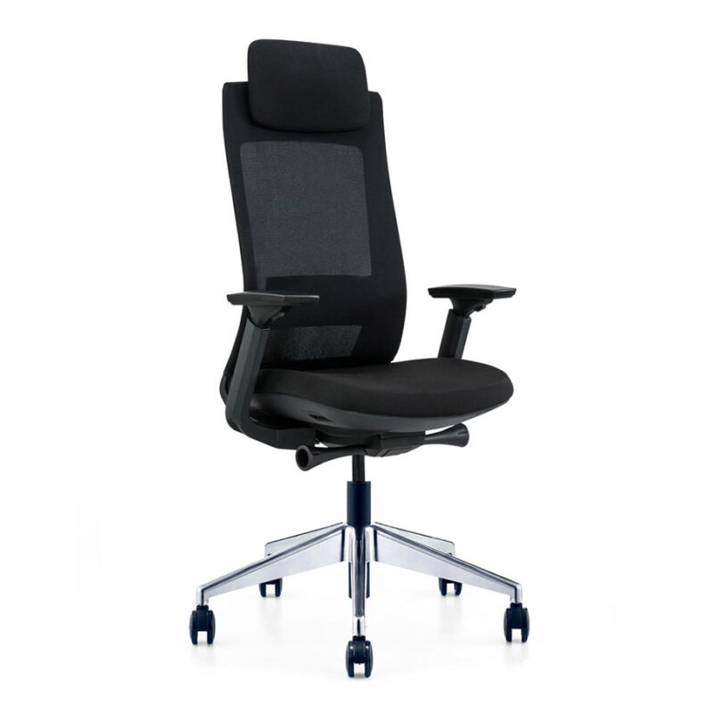 Exotic Ergonomic Chair Black With Four Positions Lock Mechanism With Sliding Seat