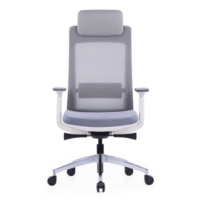 Exotic Ergonomic Chair With White Frame and Nylon Glass Fiber Frame