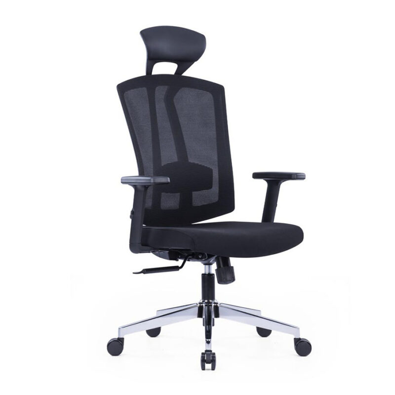 Macro Chrome Base Ergonomic Chair With Adjustable Lumbar Support