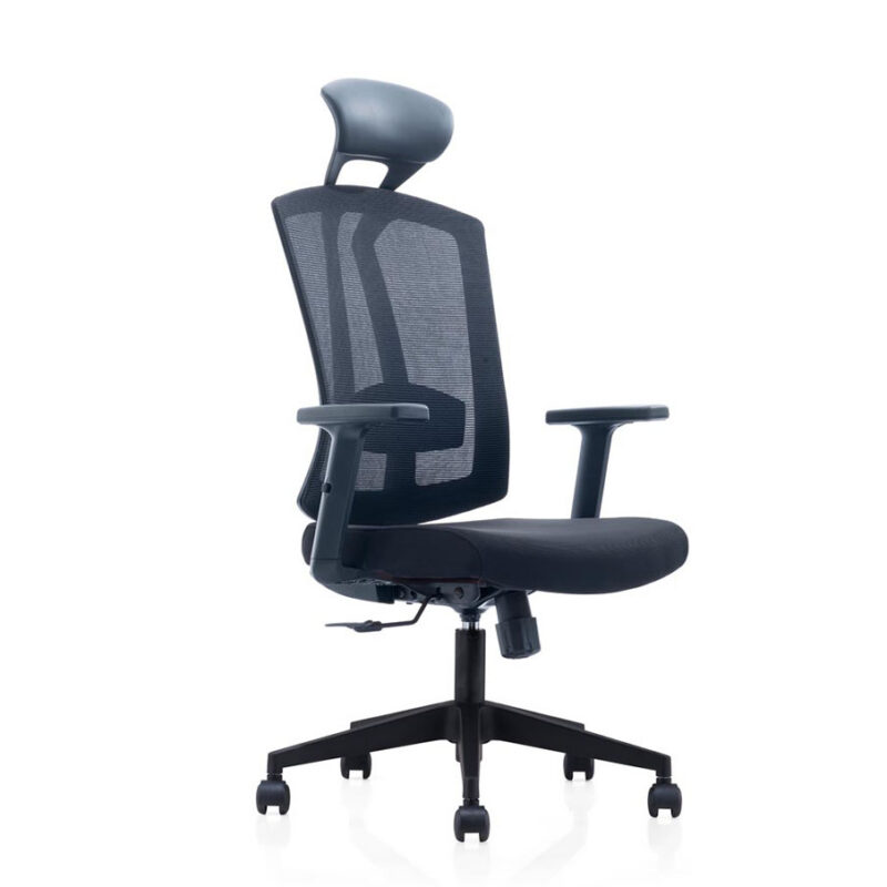 Macro Chrome Base Ergonomic Chair With  Fixed Headrest