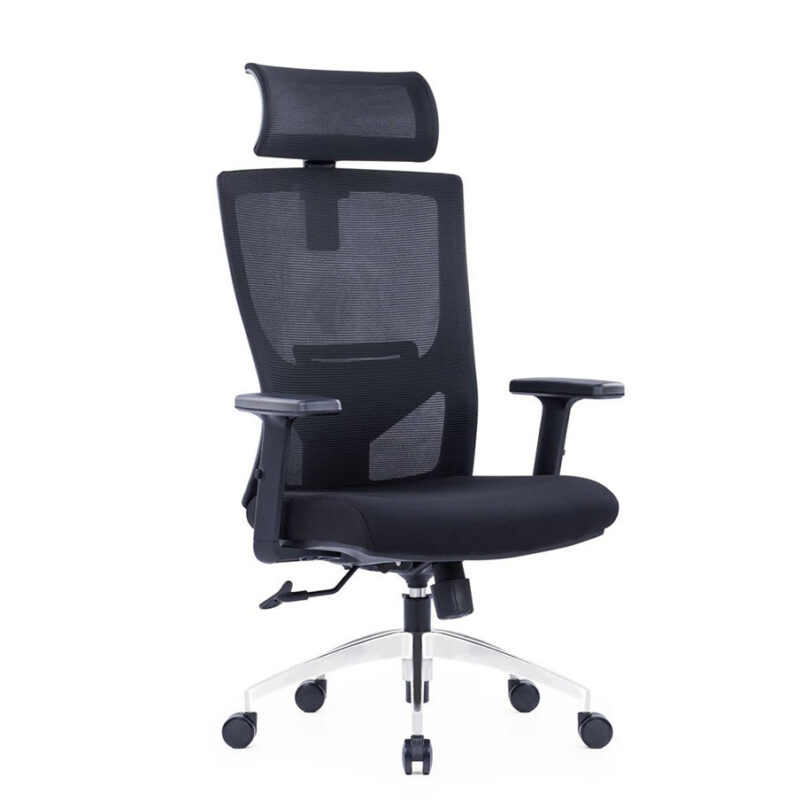 Solar Ergonomic High-Back Executive Office Chair With 100 Chrome Gas Lift