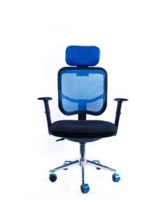 Types Of Ergonomic Chairs
