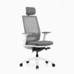 Modern Ergonomic Office Chair