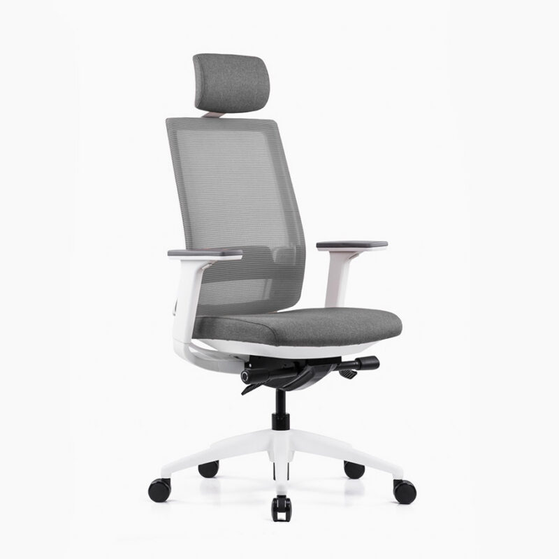 Tim Modern Ergonomic High Back Office chair
