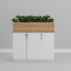 planter cabinet for office