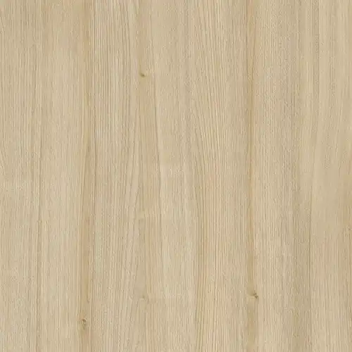 Smart Ash Light